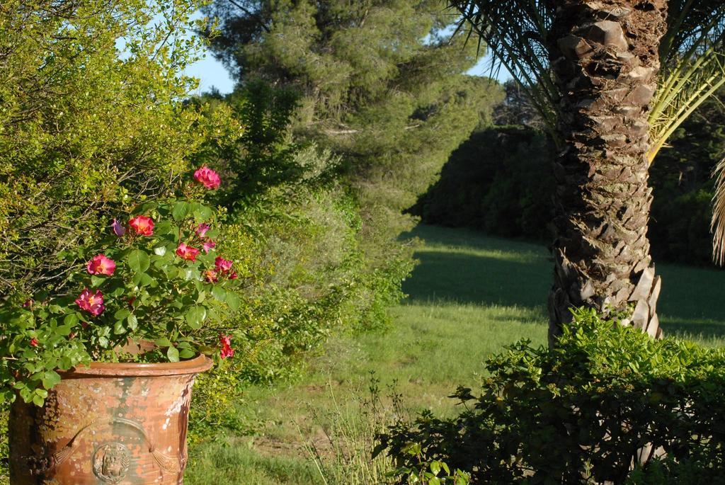 La Bellonette Marseillan  Εξωτερικό φωτογραφία